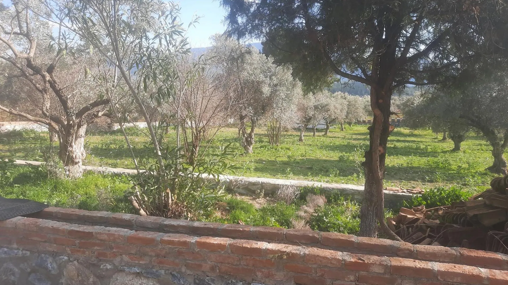 Ali Dede Kamp Karavan Bungalow Kusadasi 0*,  Turkey