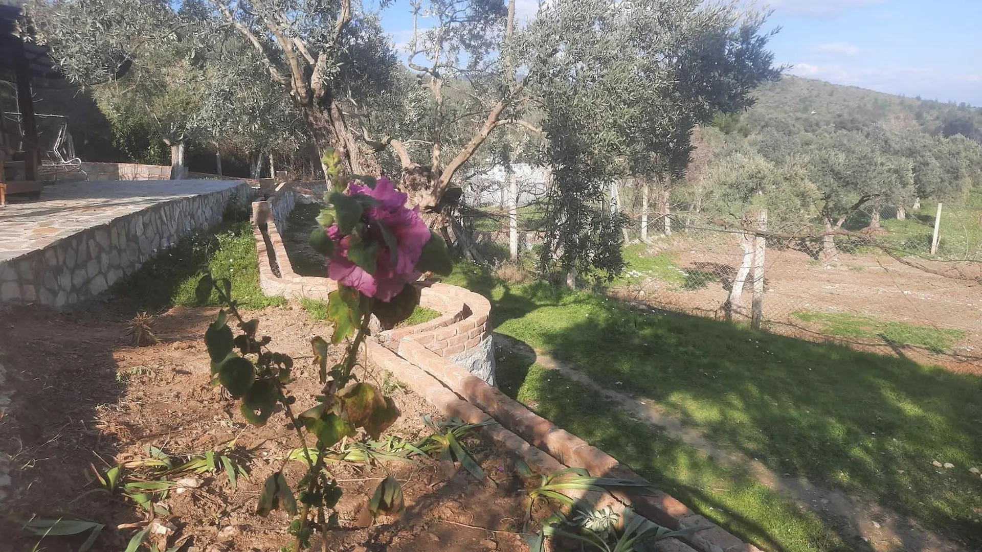 Campsite Ali Dede Kamp Karavan Bungalow Kusadasi Turkey